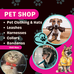 Pet Shop