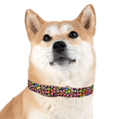 Dog Collar- Rainbow Hearts