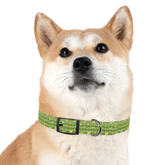 Dog Collar - St. Patrick's Day Lucky Charms