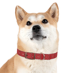 Dog Collar- Red Bandana