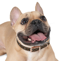 Dog Collar- Chocolate Hearts