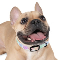 Dog Collar - Valentine Sweathearts