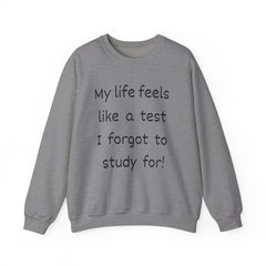 Funny Unisex Sweatshirt - I forgot to study