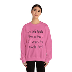 Funny Unisex Sweatshirt - I forgot to study