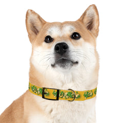 Gold Dog Collar - St Patrick's Day Horseshoe & Coin Design