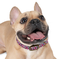 Dog Collar- Pink Leopard Print Hearts