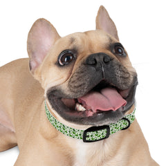 Dog Collar - Green Leprechaun Hats and Green Hearts Design