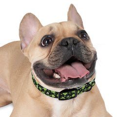 Dog Collar - St Patrick's Day Clover Design