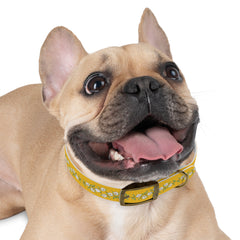 Dog Collar- Cherry Blossoms