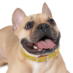 Dog Collar- Cherry Blossoms
