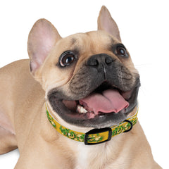 Gold Dog Collar - St Patrick's Day Horseshoe & Coin Design