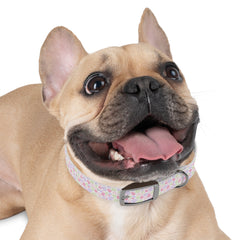 Whimsical Leaf Dog Collar - Colorful Pet Accessory for Every Occasion