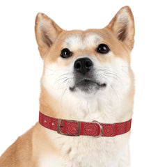Dog Collar- Red Bandana