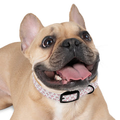 Dog Collar- Pink Bows