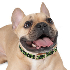 Dog Collar - St Patrick's Day Clover Design