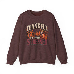 "Thankful, Blessed & a Little Stressed" Fall Pumpkin Sweatshirt