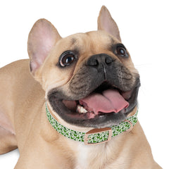 Dog Collar - Green Leprechaun Hats and Green Hearts Design