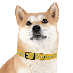 Dog Collar- Cherry Blossoms