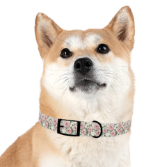 Dog Collar- White and Pink Roses