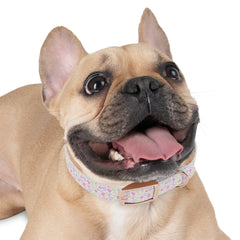 Whimsical Leaf Dog Collar - Colorful Pet Accessory for Every Occasion