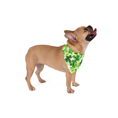 St. Patrick's Day Pet Bandana - Clover & Horseshoes