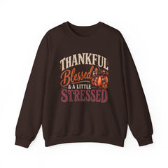 "Thankful, Blessed & a Little Stressed" Fall Pumpkin Sweatshirt