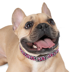 Dog Collar- Pink Leopard Print Hearts