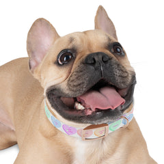 Dog Collar - Valentine Sweathearts