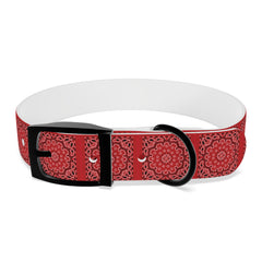 Dog Collar- Red Bandana