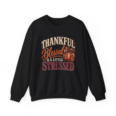 "Thankful, Blessed & a Little Stressed" Fall Pumpkin Sweatshirt
