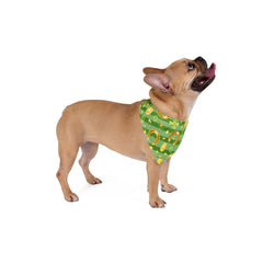 St. Patrick's Day Pet Bandana - Gold Coins & Clover