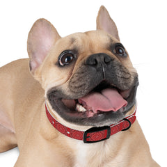 Dog Collar- Red Bandana