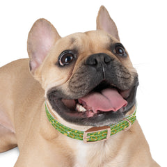 Dog Collar - St. Patrick's Day Lucky Charms