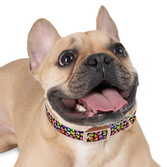 Dog Collar- Rainbow Hearts