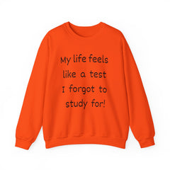 Funny Unisex Sweatshirt - I forgot to study