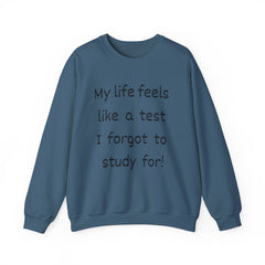 Funny Unisex Sweatshirt - I forgot to study