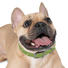 Dog Collar - St. Patrick's Day Lucky Charms