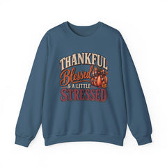 "Thankful, Blessed & a Little Stressed" Fall Pumpkin Sweatshirt