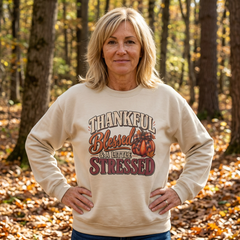 "Thankful, Blessed & a Little Stressed" Fall Pumpkin Sweatshirt