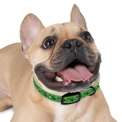 Copy of Dog Collar - Green Leprechaun Hats and Green Hearts Design