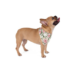 Pet Bandana - Pink & White Roses for your Fur Baby