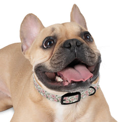 Dog Collar- White and Pink Roses