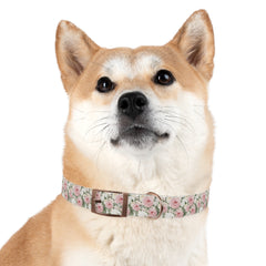 Dog Collar- White and Pink Roses