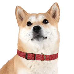 Dog Collar- Red Bandana