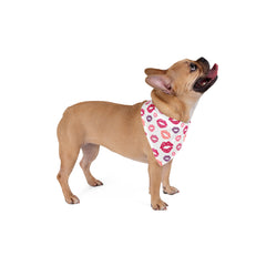 Pet Bandana - Kisses For Your Fur Baby