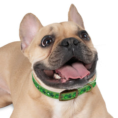 Copy of Dog Collar - Green Leprechaun Hats and Green Hearts Design