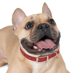 Dog Collar- Red Bandana