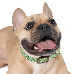 Dog Collar - Green Leprechaun Hats and Green Hearts Design