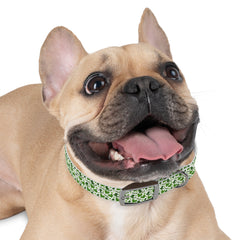 Dog Collar - Green Leprechaun Hats and Green Hearts Design