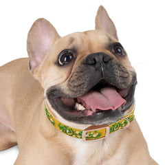 Gold Dog Collar - St Patrick's Day Horseshoe & Coin Design